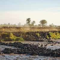 10 nights in Kenya & Tanzania
