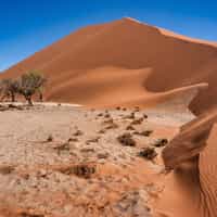 Booking safari with Kevin at Timbuktu