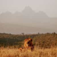 Annie has planned a safari to fit my travel style