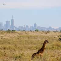 Would recommend to anyone looking to travel to Africa