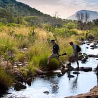 Recent safari in Marataba Mountain Lodge