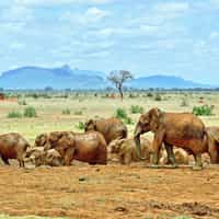 Great Short Trip in Kenya.