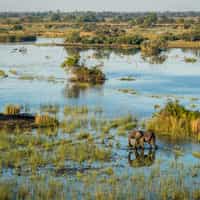 Awesome travel experience in Botswana