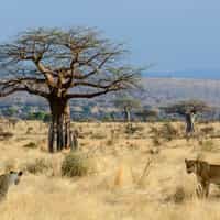 Trip of a lifetime - impeccably organised