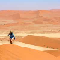 Excellent and hassel free travel service