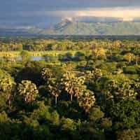 Customized African trip in two countries.