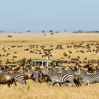 Our Tanzania Safari