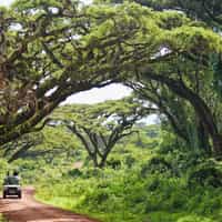 Rwanda and Tanzania