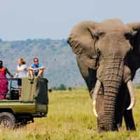They made our multi-stop safari work seamlessly.  Well worth the money!