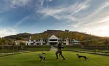 Manor House at Leeu Estate with Artemis and her three dogs in the foreground