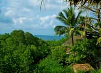 Stunning views of the ocean from the open planned tree houses