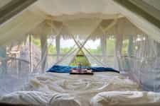 Coffee in bed in your tree house