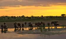 Game viewing at its best