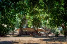 Little Ruckomechi’s scenic location epitomises Mana Pools National Park in all its abundance