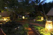 The 'Safari' garden by night