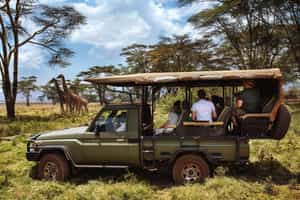 Lewa Downs