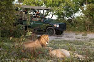 Game drives in Liuwa Plains