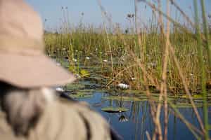 Glide along the water on a mokoro in Linyanti