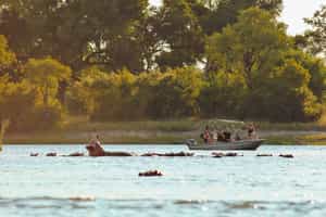 Take a day trip to Chobe for a boat safari