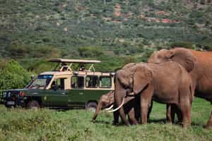 Laikipia