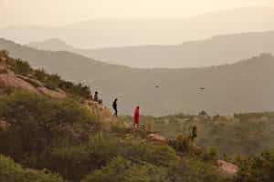 Spot wildlife on a Laikipia bush walk