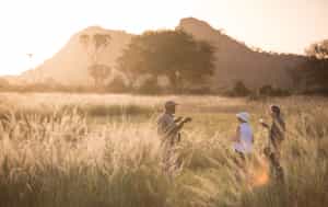 Spot wildlife on a Meru National Park bush walk