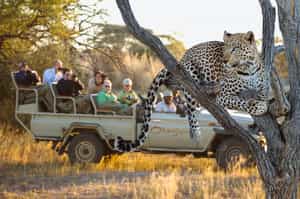 Visit the residents of the Africat Foundation 