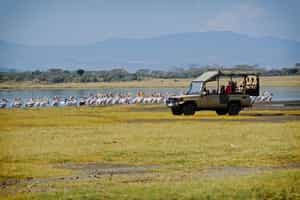 Lake Nakuru