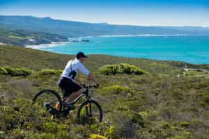 Mountain bike the trails of De Hoop Nature Reserve