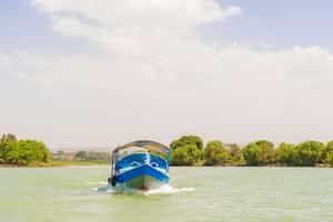 Visit the island monasteries on Laka Tana by boat