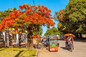 Toamasina