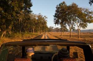 Kanha National Park
