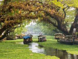 Kerala backwaters