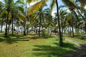Nileshwaram