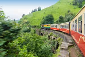 Shimla