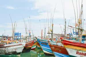 Tangalle