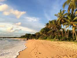 Bentota