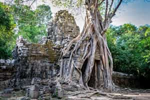 Siem Reap 