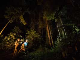 Go on a forest night walk in Dzanga-Sangha