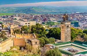 Explore the architecture and secret gardens of Fez
