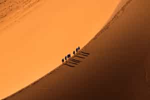Hike the surrounding areas of Skoura