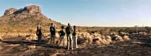 Go on a guided bush walk in Niassa