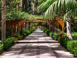 Visit the botanical gardens on Kitchener's Island
