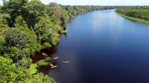 Paddle the small creeks in Pacaya Samiria by kayak