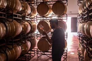 Learn the ropes from a winemaker in Wine Valley