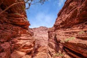 Explore the canyons of the Northwest