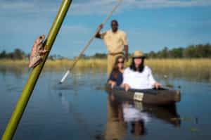Glide along the Pan Handle on a Mokoro Safari