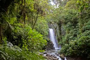 Take a swim in one of San Jose’s waterfalls