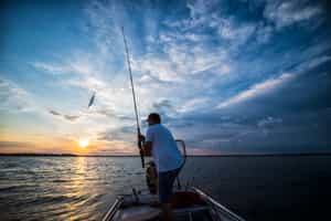 Revel in Costa Rica's fascinating marine wildlife