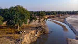 Track wildlife on a game drive in North Luangwa